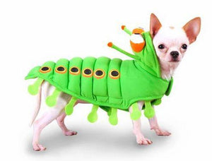 Pet Stop Store Caterpillar  Dog Costume