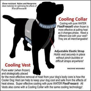 Pet Stop Store Cooling Dog Vest & Collar All Sizes