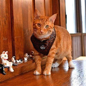 Pet Stop Store Leone Leopard Cat Harness with Bow by Catspia®