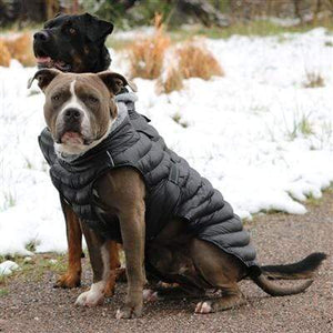 Pet Stop Store Modern Black Alpine Extreme Cold Puffer Dog Coat