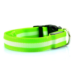 Pet Stop Store S (22-40cm) Green Reflective LED Safety Dog Collars