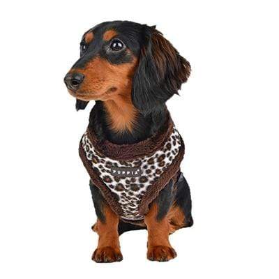 Leonard Leopard Black & Brown Dog Harness