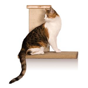 Pet Stop Store Sky High Climber Wall Perch for Cats