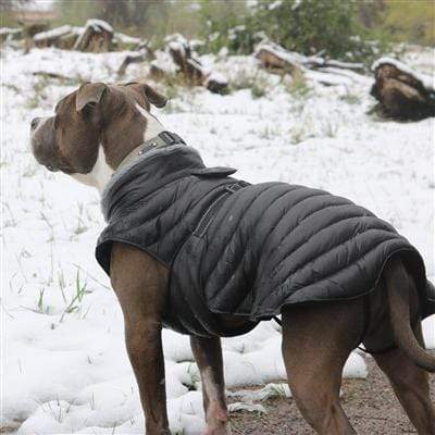Modern Black Alpine Extreme Cold Puffer Dog Coat