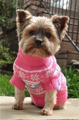 Pet Stop Store xxs Pink Snowflake & Hearts Dog Sweater