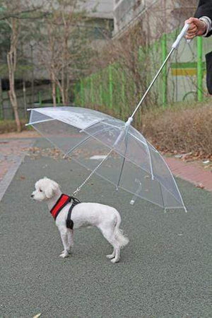Pet Stop Store Clear Dog Umbrella
